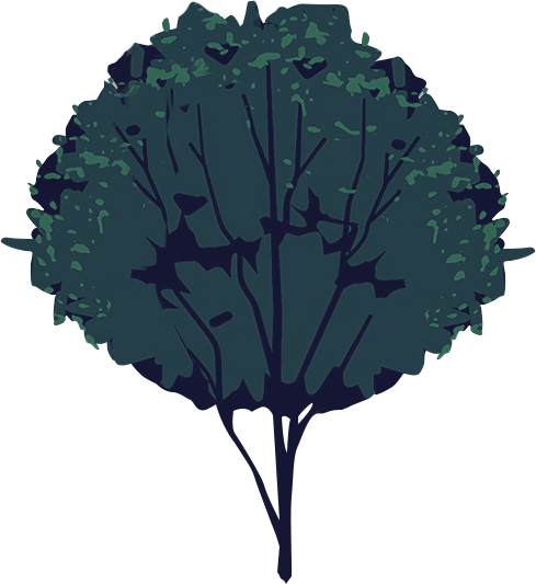 tree-transparent-image